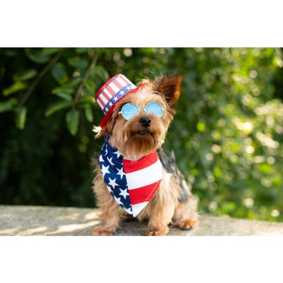 NEW 12 beautiful Large 22 inch Made in the USA Red-White-Blue Handkerchief Scarf - Picture 6 of 12